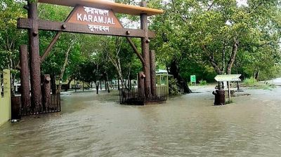 ঘূর্ণিঝড় রেমালের আঘাতে সুন্দরবনে অসংখ্য প্রাণহানি