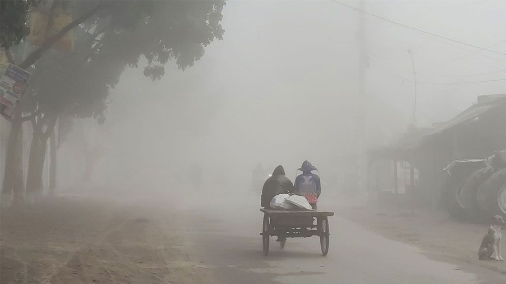 ঘন কুয়াশা আর শীতে বিপর্যস্ত চুয়াডাঙ্গায় জনজীবন