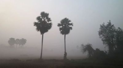 ঘন কুয়াশা চাদরে ঢাকা কুড়িগ্রাম