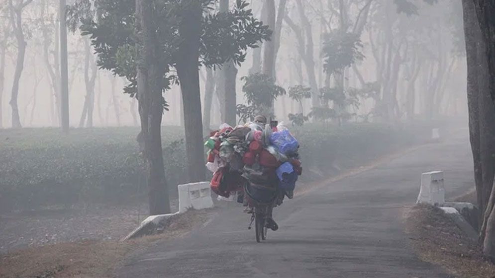 শীতে কাঁপছে পঞ্চগড়, তাপমাত্রা নামল ৮ ডিগ্রিতে