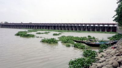 ফেনীর মুহুরী সেচ ব্যবস্থাপনা উন্নয়ন প্রকল্পে দুর্নীতির অভিযোগ