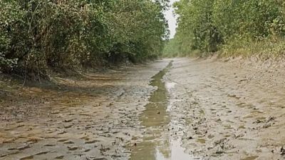 আগুন নেভাতে পুকুর খনন ও নদী-খাল পুনঃখননের উদ্যোগ