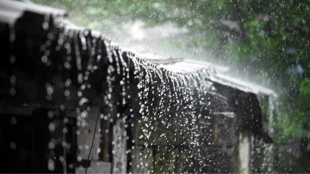 সারা দেশে বৃষ্টির আভাস