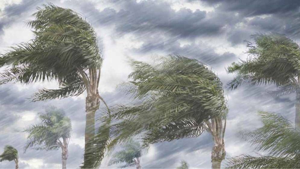 দুপুরের মধ্যে ৬০ কিমি বেগে ঝড়ের শঙ্কা