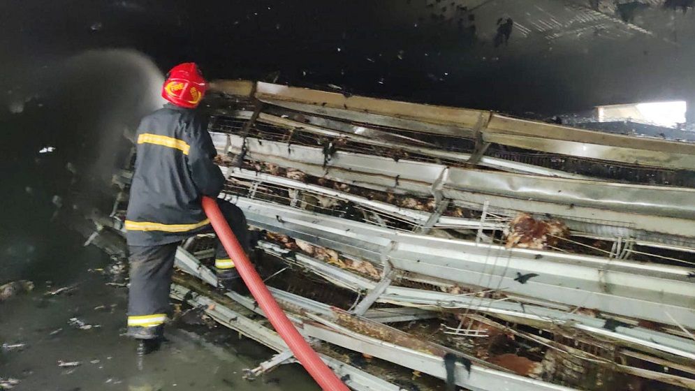 যশোরে আগুনে ভস্মীভূত আফিল ফার্মের ৪৫ হাজার মুরগি