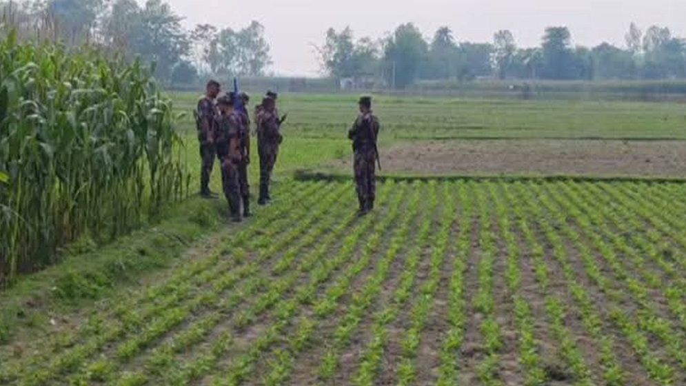 লালমনিরহাট সীমান্তে বাংলাদেশি যুবককে ধরে নিয়ে গেল বিএসএফ