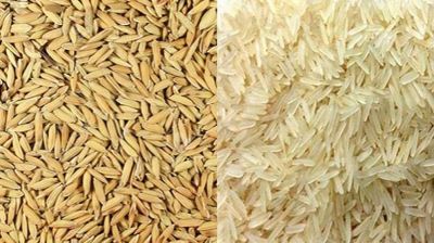 চাল সরবরাহে ব্যর্থতায় যশোরে ৬২টি রাইস মিলের লাইসেন্স বাতিল