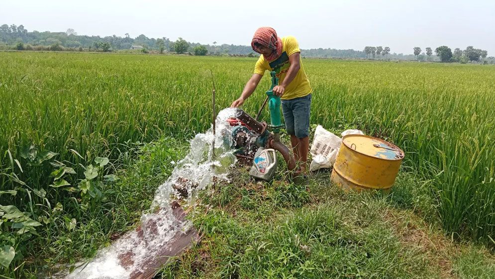 নড়াইলে নদী-খালের পানিতে লবণাক্ততা বাড়ছে, তিন ফসলি জমি পরিণত হচ্ছে এক ফসলিতে