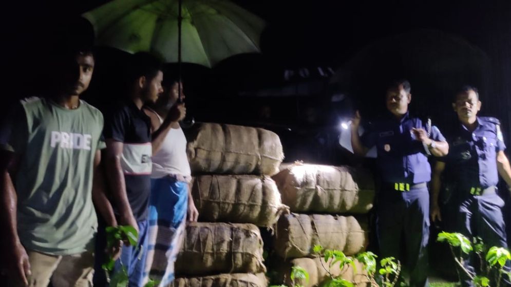 কুমিল্লার বুড়িচংয়ে বাঁশঝাড় থেকে ১৯৬ কেজি গাঁজা উদ্ধার