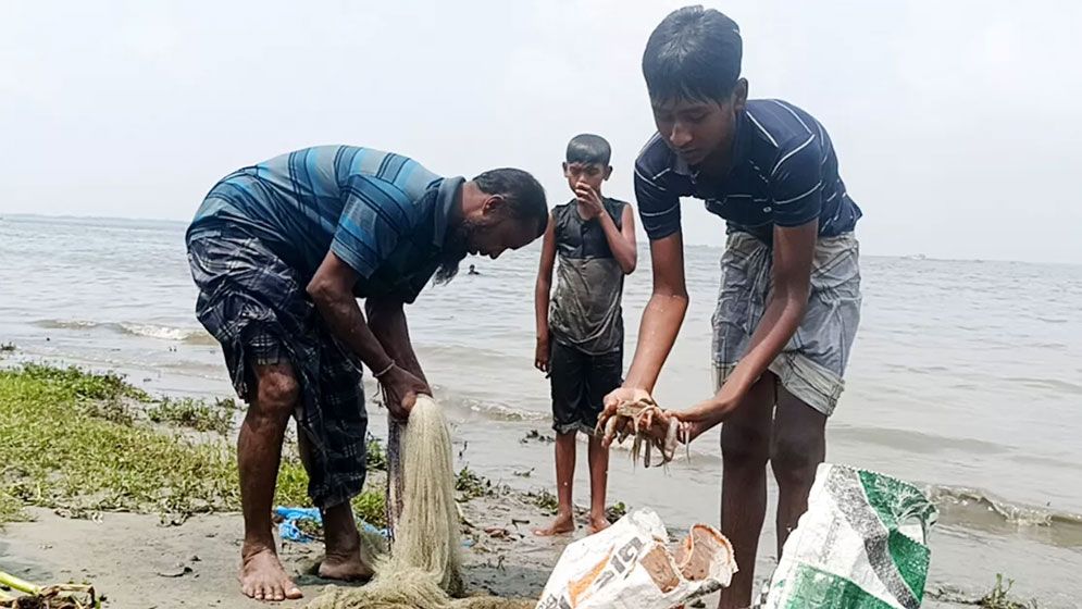 দূষণে বিপর্যস্ত মেঘনা, মরছে মাছ, হুমকির মুখে জীববৈচিত্র ও জীবিকা