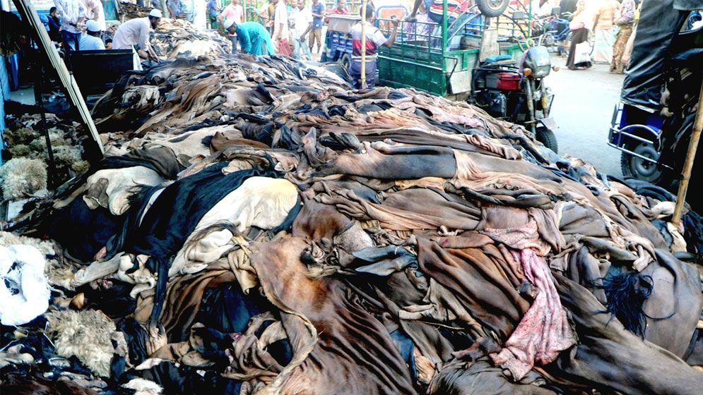 কোরবানির আগে লবণের দাম বেড়ে বিপাকে চামড়া ব্যবসায়ীরা