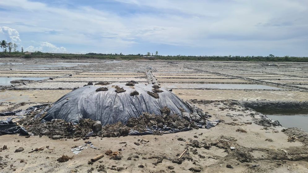 লবণ উৎপাদনে ৬৪ বছরে দ্বিতীয় সর্বোচ্চ রেকর্ড