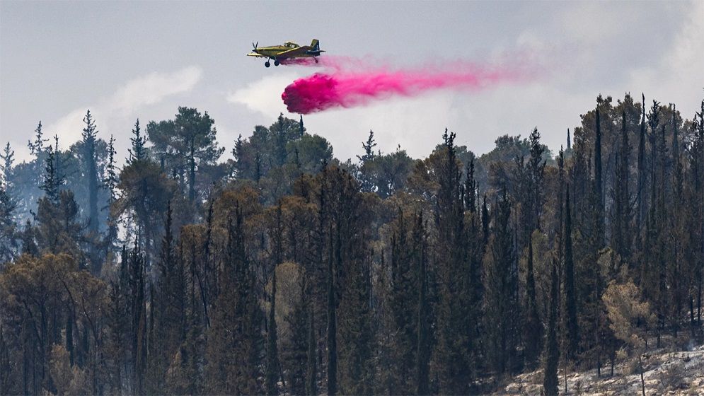 জেরুজালেমের ভয়াবহ দাবানল নিয়ন্ত্রণে, তদন্ত শুরু করছে দখলদার ইসরায়েল