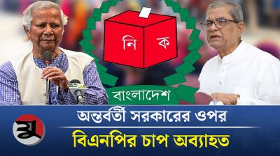 নির্বাচনের দাবিতে অন্তর্বর্তী সরকারের ওপর বিএনপির চাপ অব্যাহত
