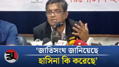 দেশকে ডাকাতির জায়গা হিসেবে নিয়েছে আওয়ামী লীগ: শফিকুল আলম