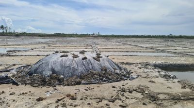 লবণ উৎপাদনে ৬৪ বছরে দ্বিতীয় সর্বোচ্চ রেকর্ড