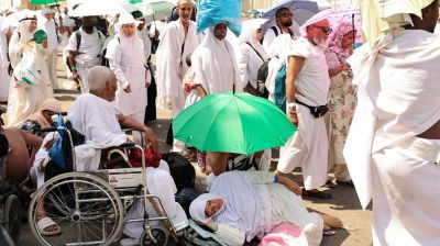 হজে এখন পর্যন্ত ২২ হাজার ২০৩ যাত্রী সৌদি পৌঁছেছেন, মৃত্যু ২ জনের