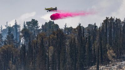 জেরুজালেমের ভয়াবহ দাবানল নিয়ন্ত্রণে, তদন্ত শুরু করছে দখলদার ইসরায়েল