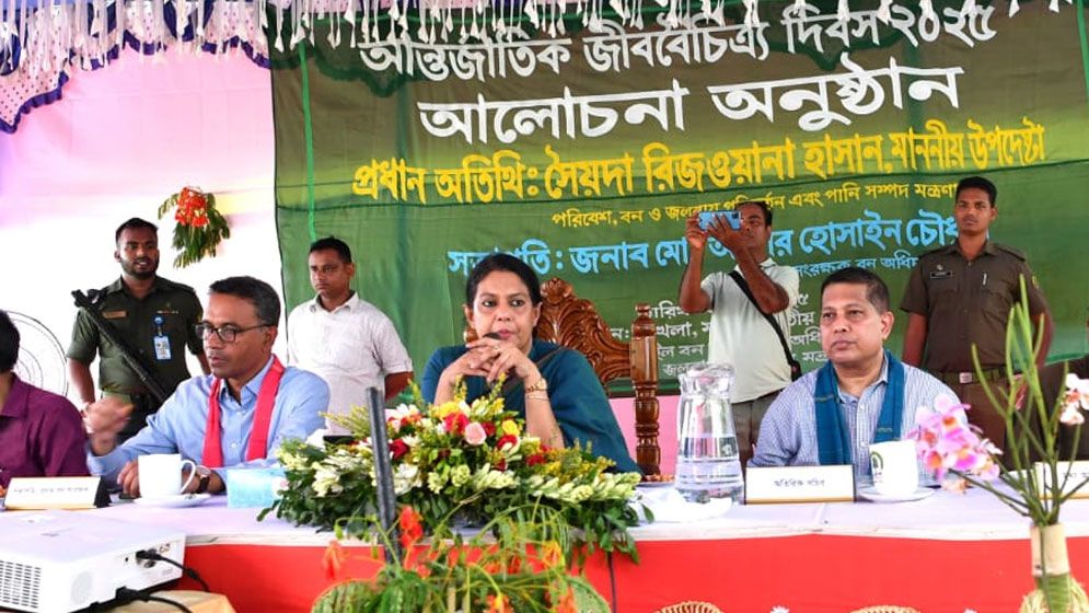 শুধু শাল নয়, স্থানীয়দের অংশগ্রহণেও ফিরছে মধুপুরের সবুজ বন: রিজওয়ানা হাসান