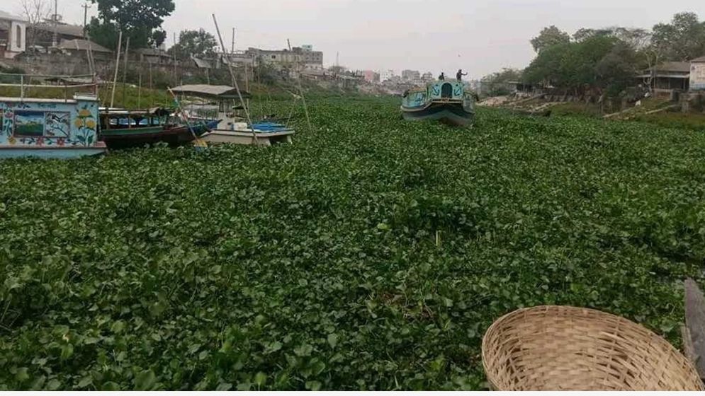 ‘হাতের কাছে ভরা কলস তৃঞ্চা মেটে না’