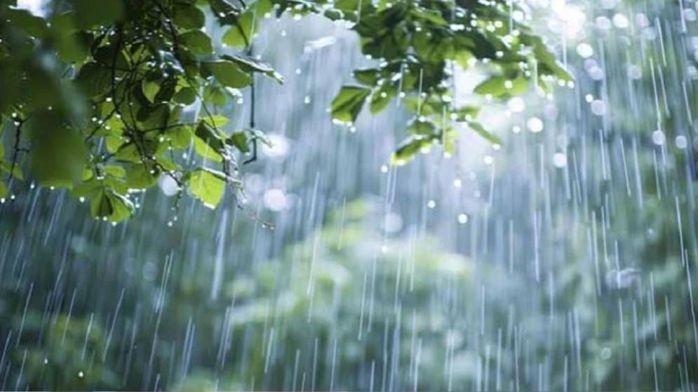 দুপুরের মধ্যে যেসব জেলায় বৃষ্টির আভাস