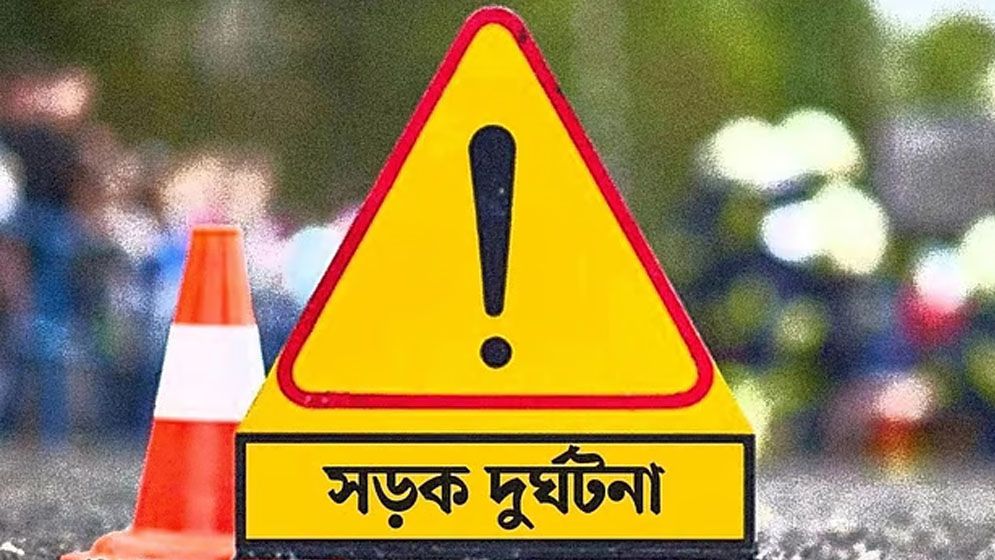 লিচু কেনা হলো না মা-মেয়ের