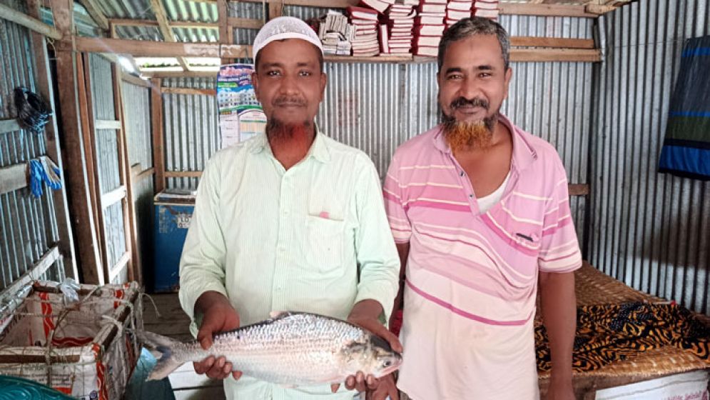 রাজা ইলিশ, ভোলায় সাড়ে ৬ হাজারে বিক্রি