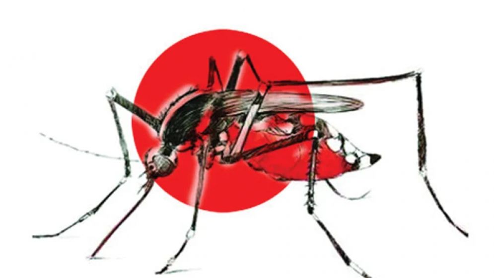 ডেঙ্গু  : ৪৬ শতাংশ বরিশালের