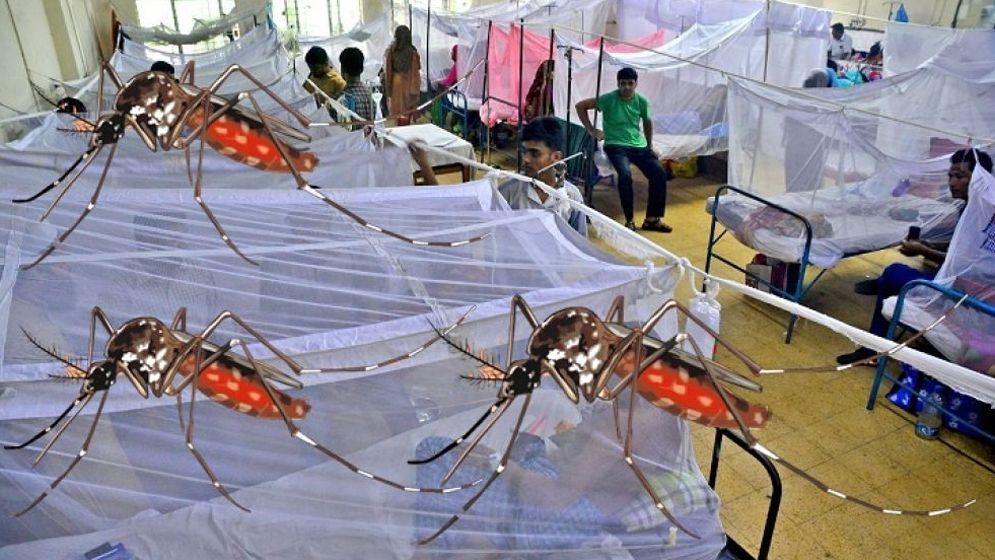 সারা দেশে ডেঙ্গুতে আক্রান্ত আরও ১৫১