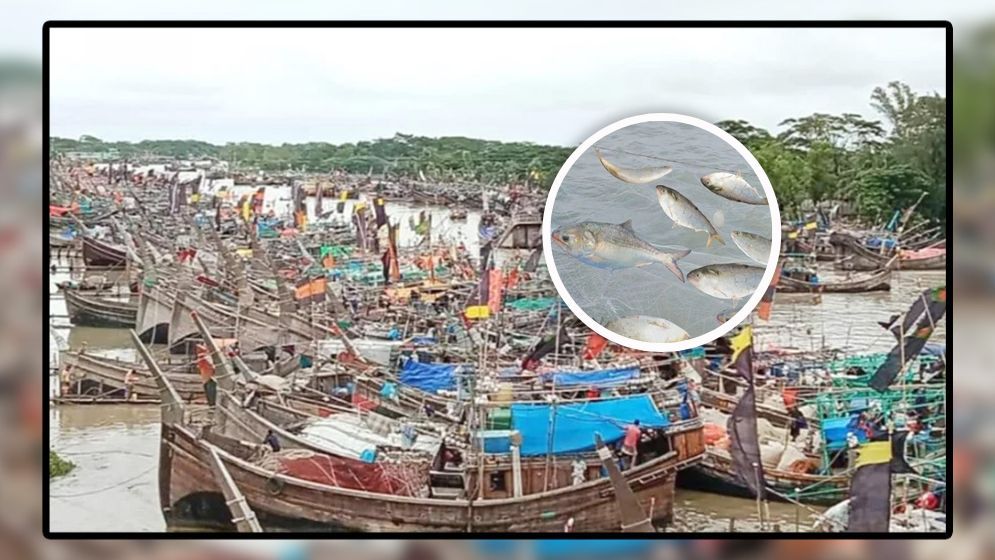 সাগরে মাছ ধরার নিষেধাজ্ঞা উঠছে মধ্যরাতে