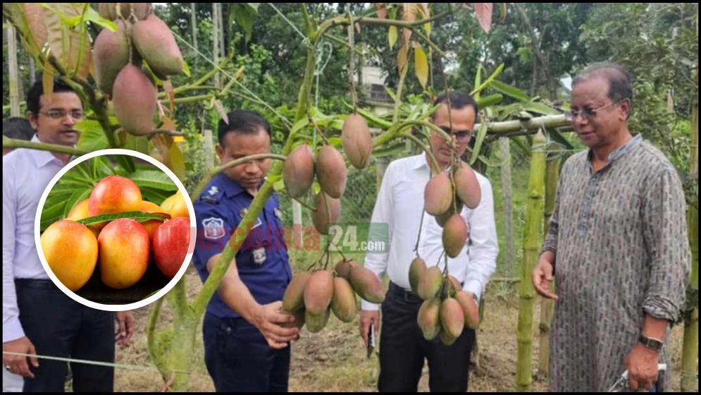 এক বাগানে ৫৭ জাতের বিদেশি আম