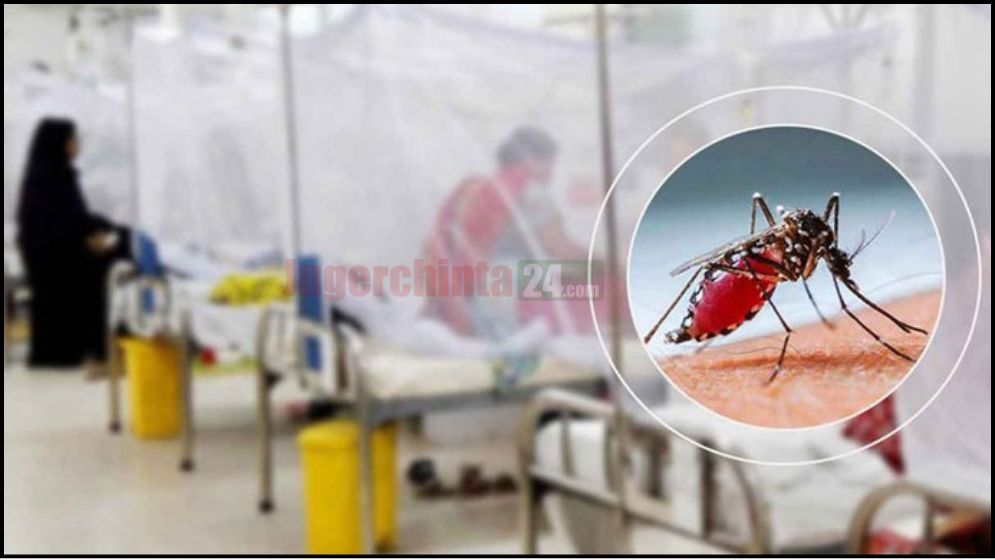 ২৪ ঘণ্টায় ডেঙ্গু আক্রান্ত ২৮৮