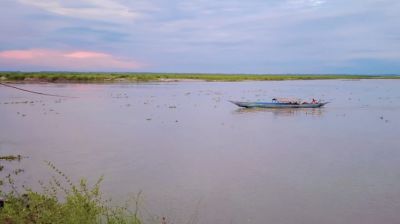 যমুনার পানি বৃদ্ধিতে তলিয়ে যাচ্ছে ফসলি জমি, দুশ্চিন্তায় কৃষক