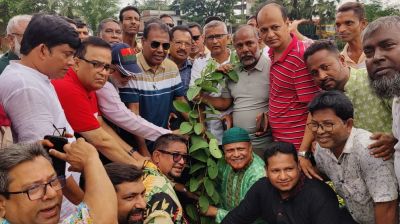 ডা. জোবায়দা রহমানের জন্মদিনে বগুড়ায় নানা কর্মসূচি