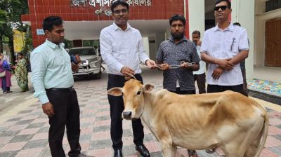 বউ গেছে আগেই, মাও মারা গেছেন, সাজাভোগী মাজেত এখন একা