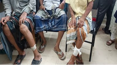 রাজশাহীতে কাজ করার সময় শিয়ালের আক্রমণ, আহত ১৩