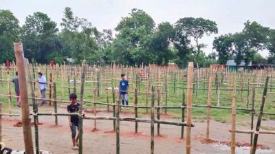 বুড়িচংয়ে যুবদল নেতার দাপটে শিক্ষা প্রতিষ্ঠানে গরুর হাট