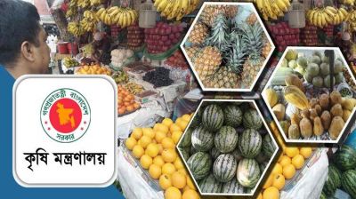 বৃহস্পতিবার শুরু জাতীয় ফল মেলা