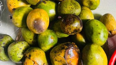 কুরিয়ারের গাফিলতি : অনলাইন আমের বাজারে ধস