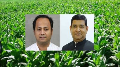 কুষ্টিয়ায় নকল সিগারেট তৈরির ব্যবসায় আওয়ামী লীগের শক্তিশালী সিন্ডিকেট