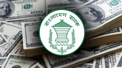 রিজার্ভ ছাড়াল ৩১ বিলিয়ন ডলার