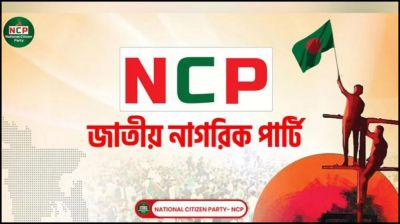 ৫ বিষয়ে এনসিপির পৃথক সেল গঠন