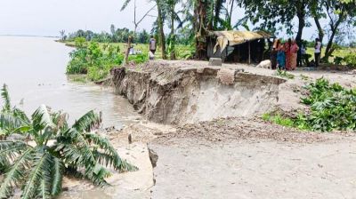 ব্রহ্মপুত্রের ভাঙনে ভিটাবাড়ি হারিয়ে নিঃস্ব হচ্ছে মানুষ