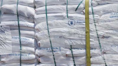 গাজায় পাঠানো ত্রাণের আটার বেশিরভাগই লুট : জাতিসংঘ