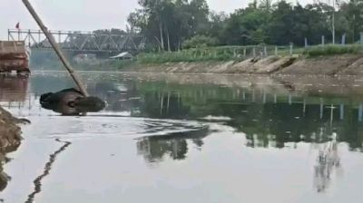 বগুড়ায় অজ্ঞাত যুবকের মরদেহ উদ্ধার