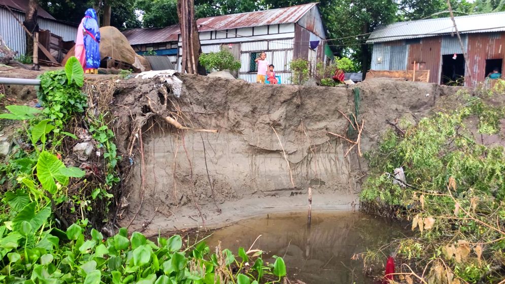 তিতাসের ভাঙনে দিশেহারা নদী পাড়ের মানুষ