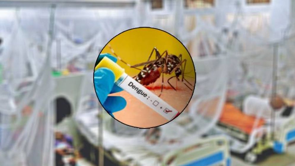 ডেঙ্গুতে প্রাণ গেল আরও দুজনের, হাসপাতালে ভর্তি ৩৩৭