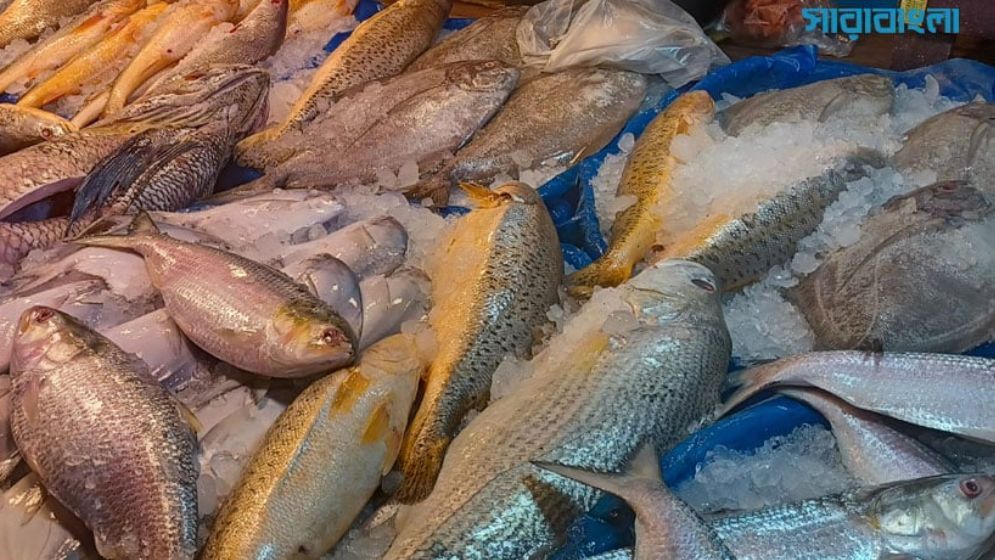 চট্টগ্রামে সবজি-মাছ, ডিম-মুরগির দাম চড়া