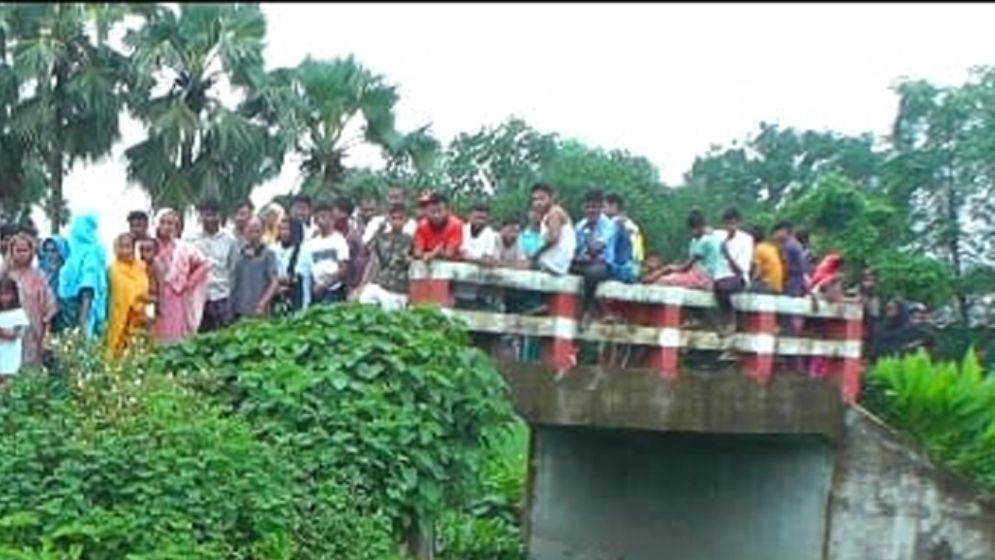 গাজীপুরে কার্টনে নবজাতকের লাশ