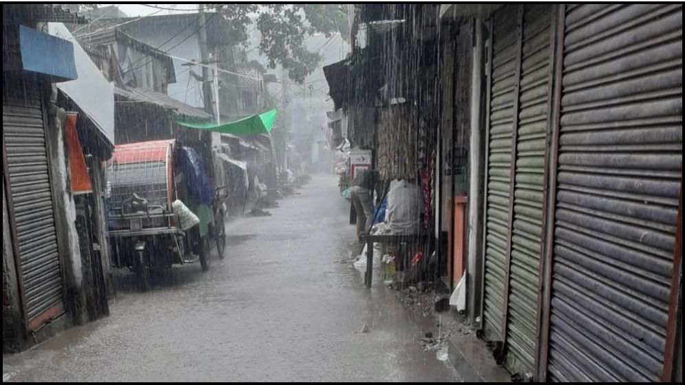 বর্ষণে  রোপা আমন চাষীদের মনে স্বস্তি